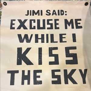 Excuse Me While I Kiss the Sky Wall Hanging